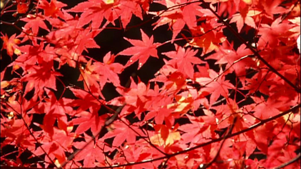 Dormy Inn Kurashiki Natural Hot Spring Ngoại thất bức ảnh